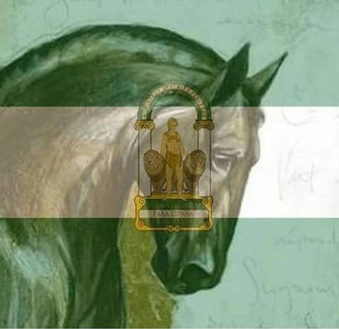 algaba_96's tweet photo. feliz dia de andalucia https://t.co/xqb0ZOuQlk