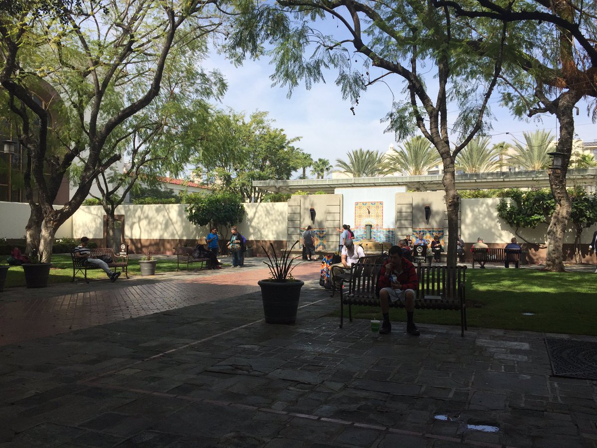 plantsofLA's tweet photo. Jacarandas shade an island of solace in the middle of Union Station https://t.co/AEW5dzNMNM