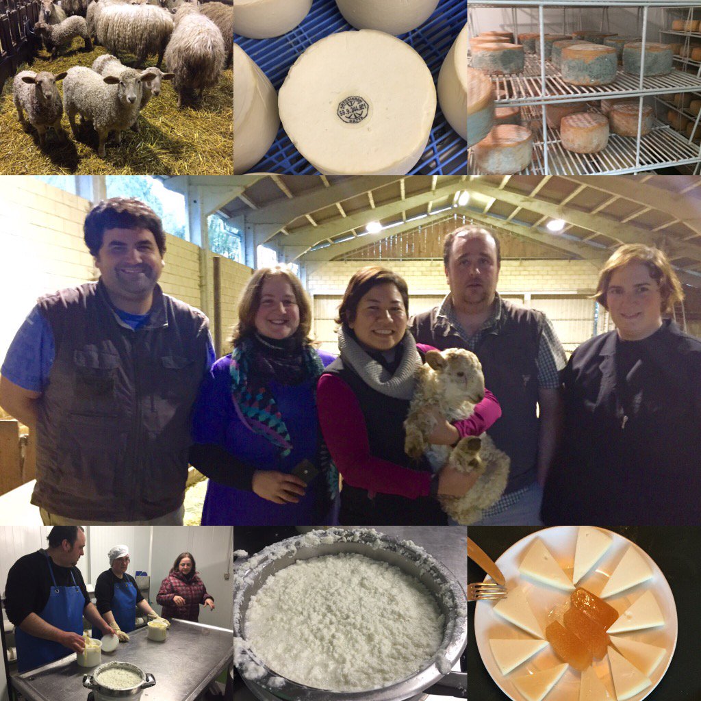 TravelBasque's tweet photo. Gracias equipo @basquecooltour sois la "leche" 😁 El mejor cordero, requeson, croquetas y sobre todo hospitalidad! https://t.co/gRB9imbyKo