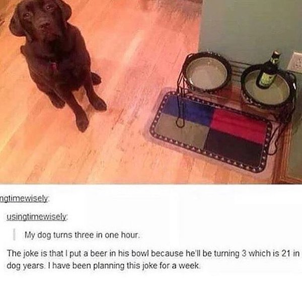 Straight savage 💀