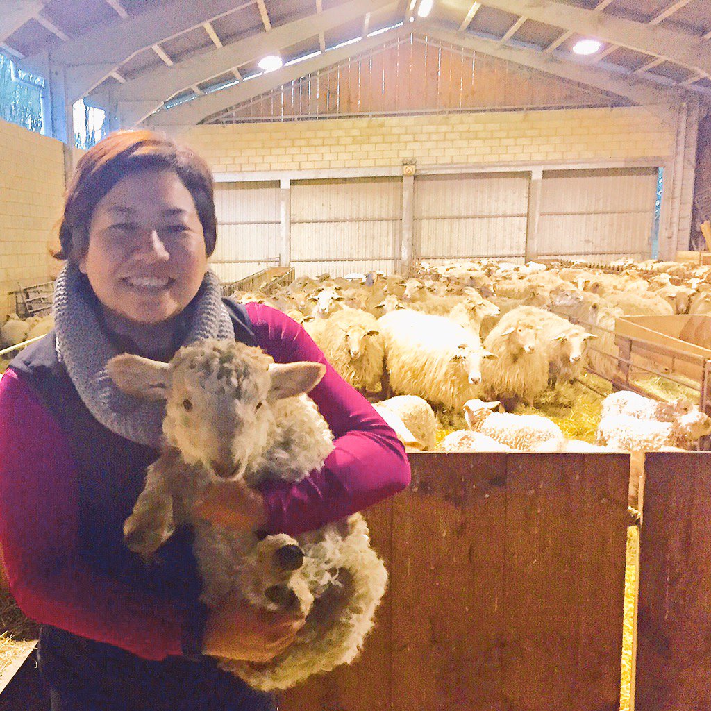 carpochica's tweet photo. Great day in the "office" with my homies. #sheepoftheweek #travelbasque #adarrazpi #idaizabal #latxa https://t.co/WzztBpELYN