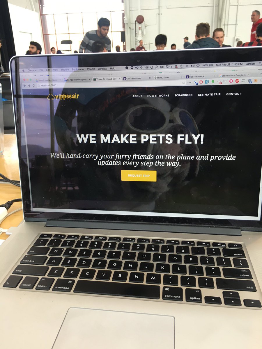LAUNCH's tweet photo. . @YippeeAir will hand-carry your pets anywhere in the world + get status updates in real time along the way. https://t.co/ubKwYOx2ti