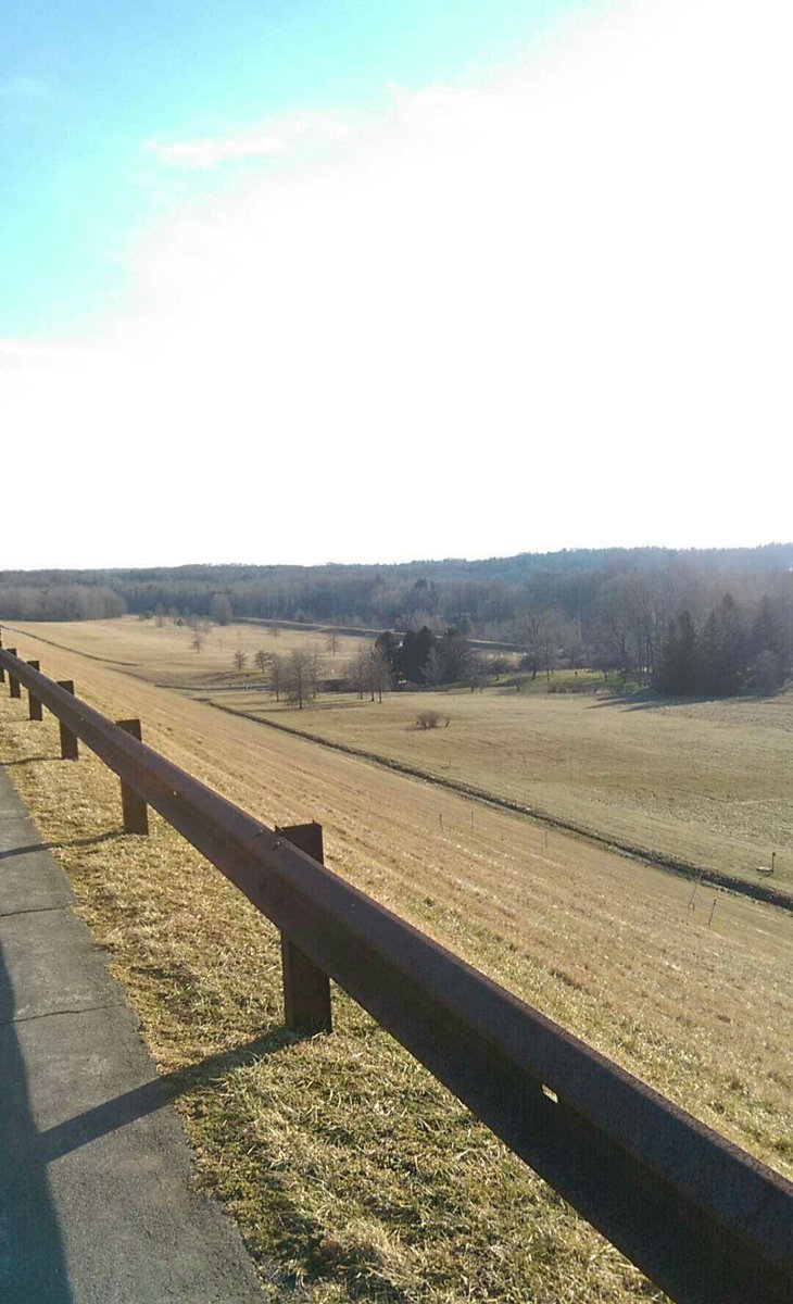 iamfesta's tweet photo. What a beautiful day for a romantic walk with Toby 💙 https://t.co/G1dOpx5YgB