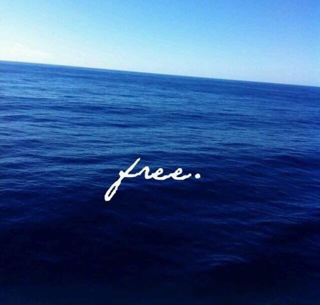 PoleChicks1's tweet photo. In loving memory of a Pole Chick who went to Heaven 4 years ago. You are free, but never will be forgotten. https://t.co/LCByMfpCXA