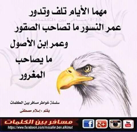 mohsen1chitos's tweet photo. https://t.co/J80szrBKz9