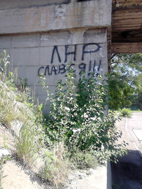 Центральный Парк. Нью-Йорк.