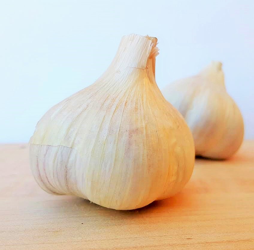 We are all sold out of the popular Russian Red, but don't despair! We have plenty of Northern Quebec left in stock.