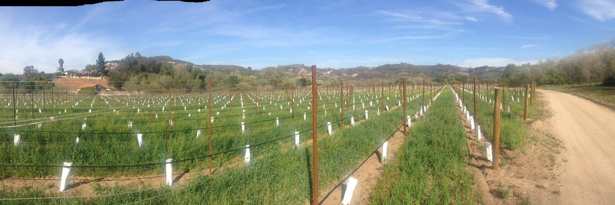ImPootie's tweet photo. Enjoying 15min inland!!! #popshouse https://t.co/ogP56K9nyH