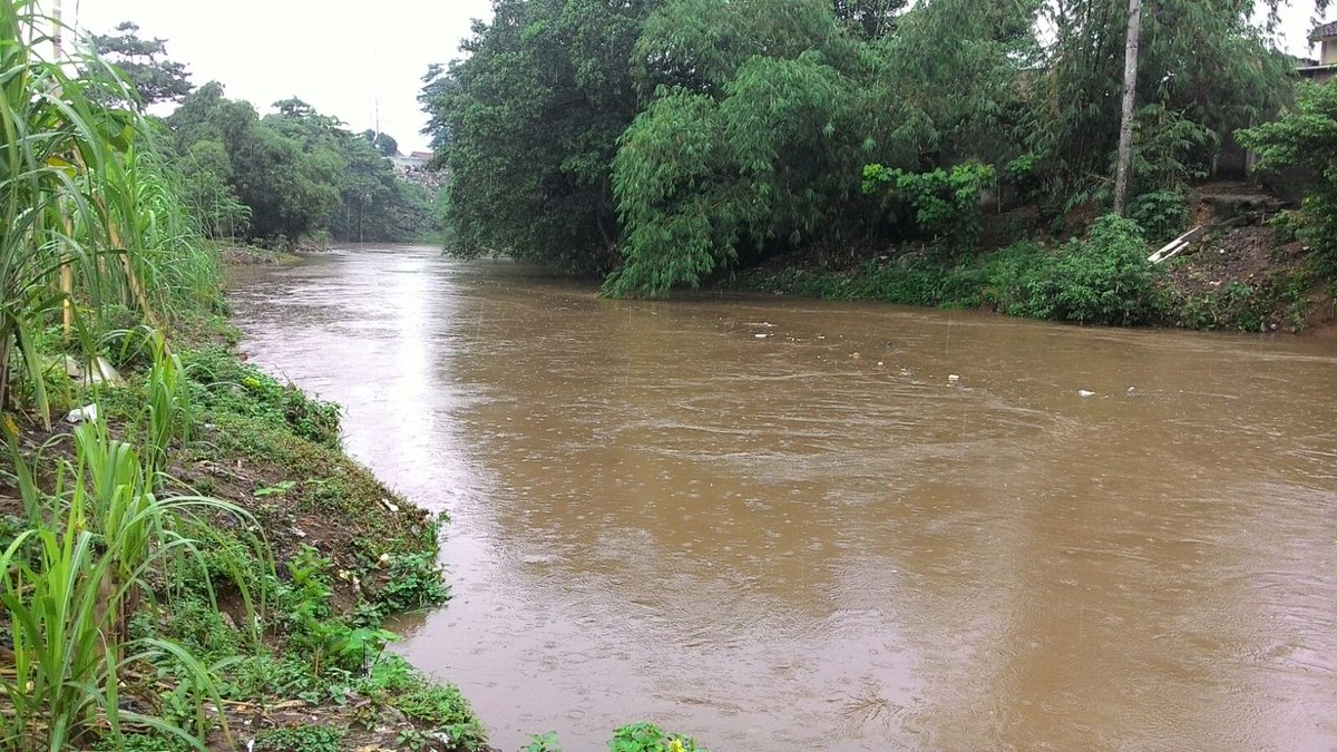 Normalisasi sungai dan relokasi yang dilakukan Pemda DKI dan Pemerintah telah signifikan kurangi banjir Jakarta.