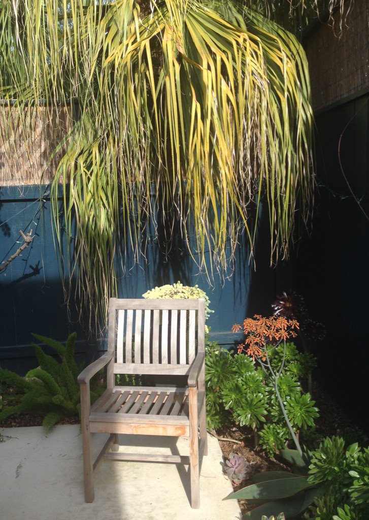 montee_ray's tweet photo. Sunny SoCal Sunday #hugyourchair https://t.co/XqyL2auoyL