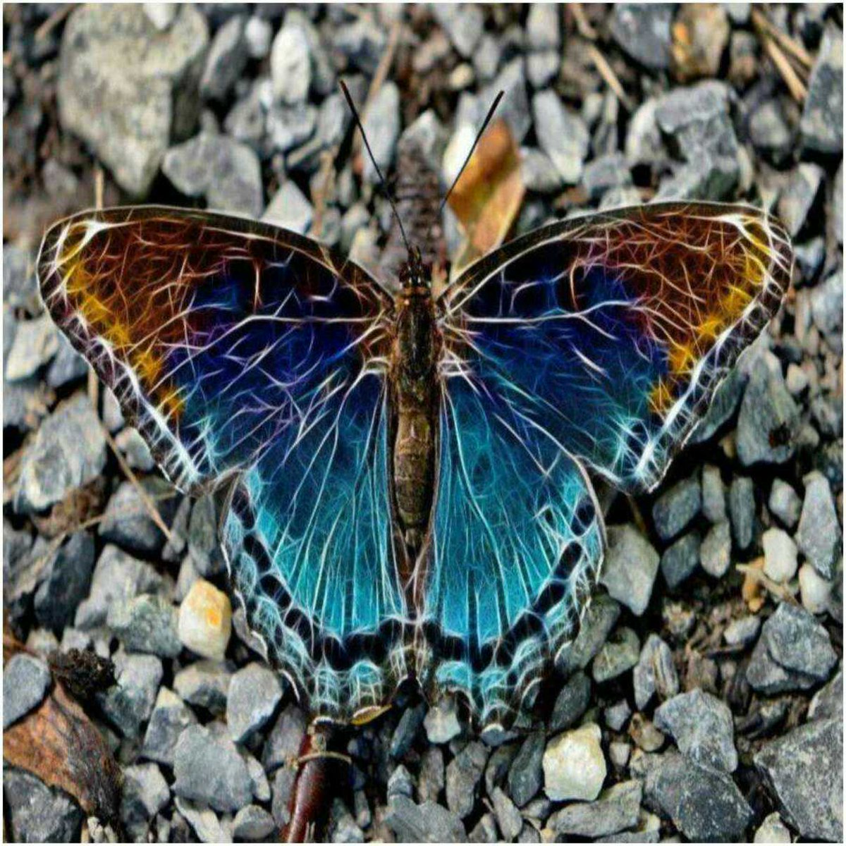 loveQQQQuotes's tweet photo. @PhotographysES @photography https://t.co/twNOvHfvMv