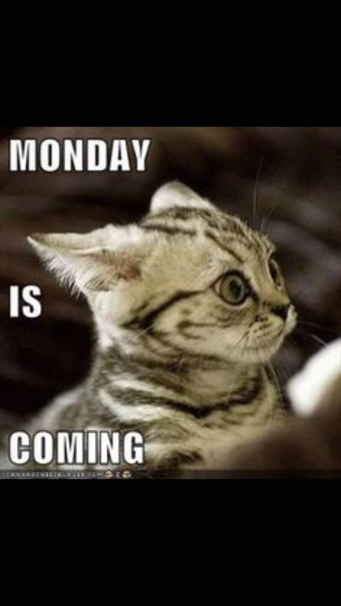 SHMSGeneral's tweet image. Brace yourselfs! #whoseready #weekendisover @MsPrincipalSHMS
