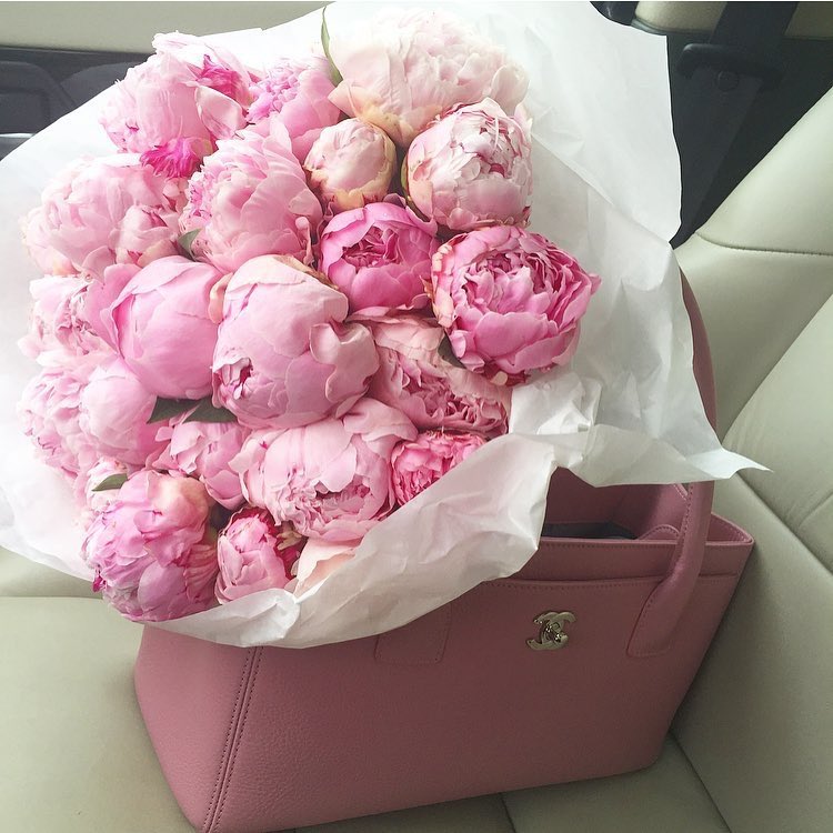 SpringFlowersIn's tweet photo. DREAM as if you'll live forever. LIVE as if you'll die today. https://t.co/rCENRcfUKq #pinkflowers #springflowers https://t.co/76K3bIkWY2