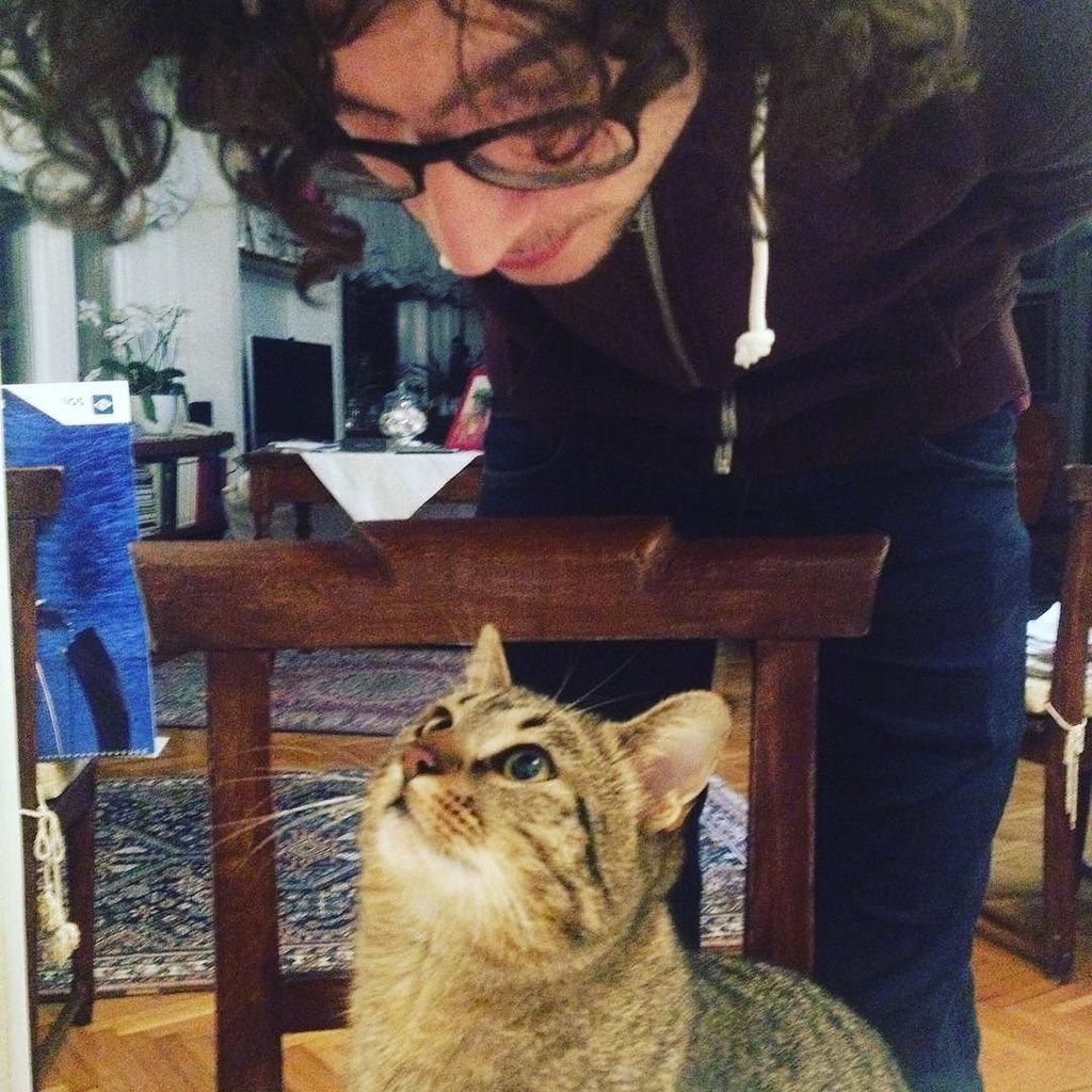 Chatchatcatcat's tweet photo. Enri è tornato e fortunatamente è sempre lo stesso...un po' matto! 😹 #cats #humanfriends #enriisback #welcomebackho… https://t.co/lrwFZZvlI5