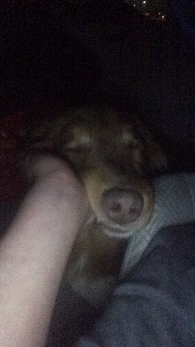 Simba Rivera tweet media