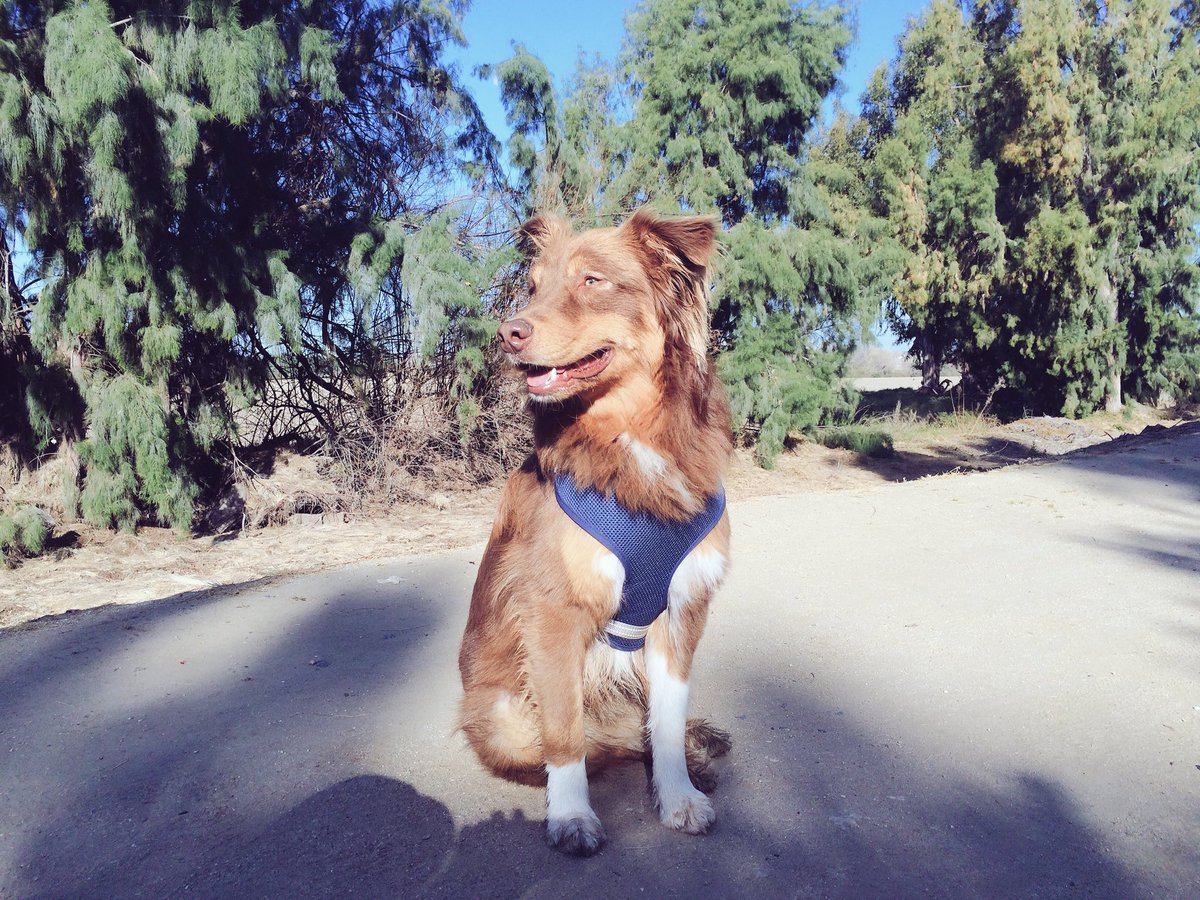 Simba Rivera tweet media