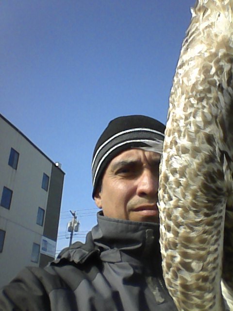 NorthWeinberg's tweet photo. @Ddylanspilotss @MTV is this the description of the seagul Sex Exploitation Criminalist https://t.co/ItDzsQB7nZ