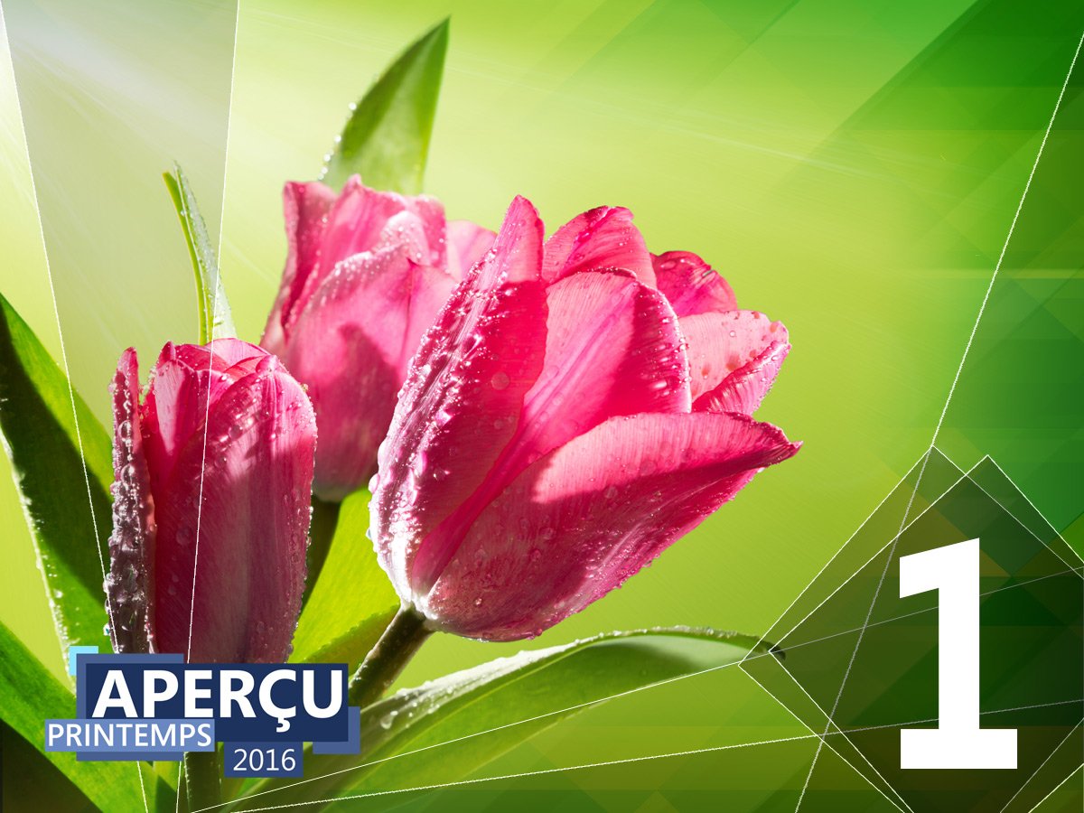 meteomedia's tweet photo. Il ne reste plus qu’UN jour avant le dévoilement de notre Aperçu du printemps 2016. #AperçuPrintemps #MétéoQc https://t.co/r2ysp5rvEY