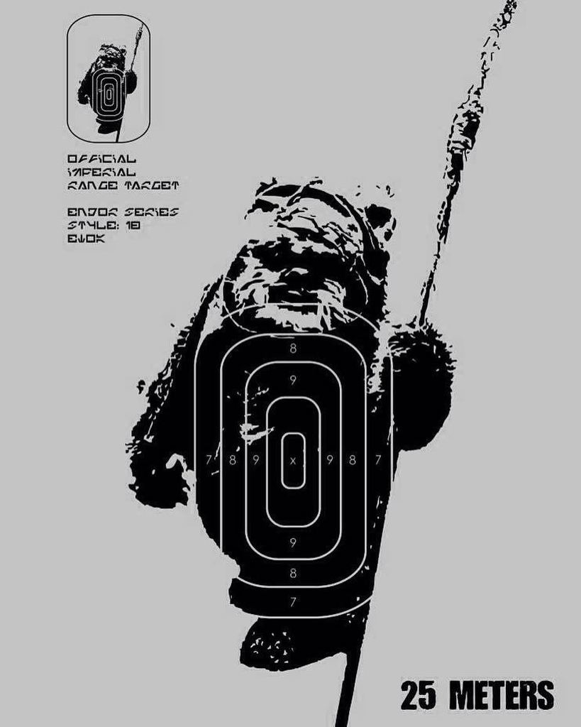 JSilkstone's tweet image. If more #stormtroopers had time on the tools with these targets the #battleofendor might have gone differently. #ew…