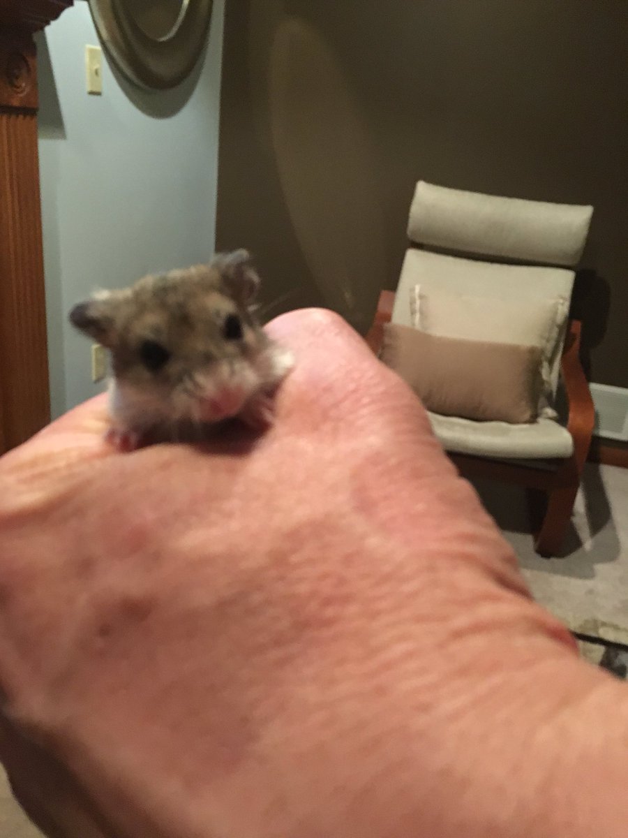 kelsandkalli's tweet photo. A new  baby https://t.co/KOm6WEgj29