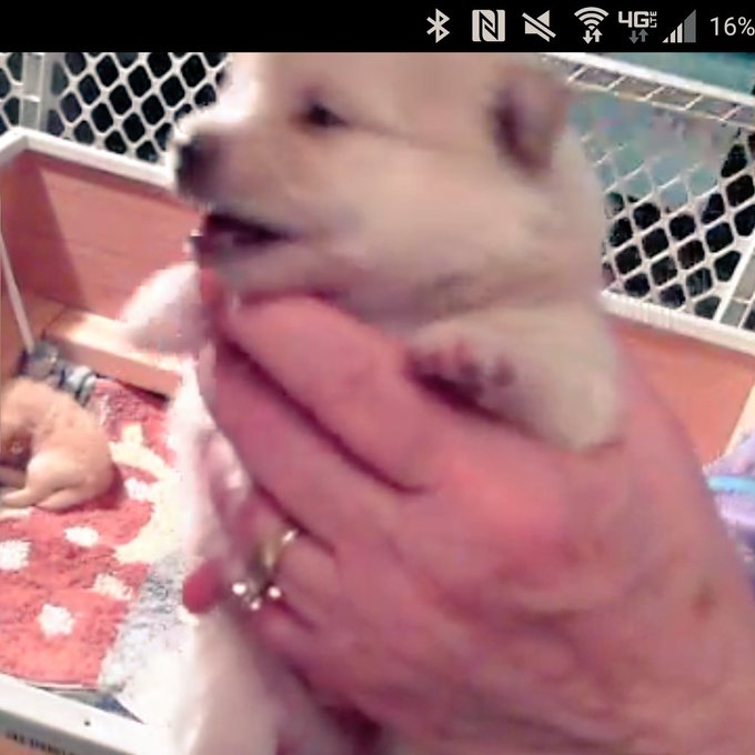 On Skype with Hope, Dexter Morgan, and little Peanut. I miss my little Ricky :( https://t.co/8eveRz7<a href="/tag/lifegoals"class="tags"><span>#lifegoals</span></a>