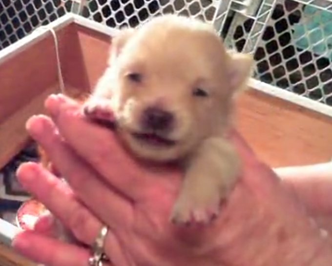 On Skype with Hope, Dexter Morgan, and little Peanut. I miss my little Ricky :( https://t.co/8eveRz7