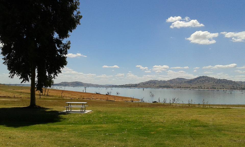central_coast's tweet photo. Lake Hume at Ludlow Reserve #AlburyWodonga
Photo by Lois Ashworth https://t.co/VjCs6tmVMA