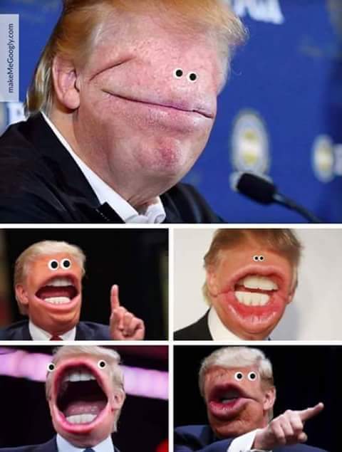 Ellyhyde's tweet image. #accurate #trump #donaldfuck