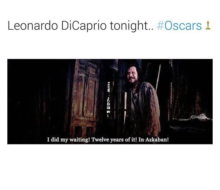Myriamamou's tweet photo. #Oscars https://t.co/p0hraalpbw