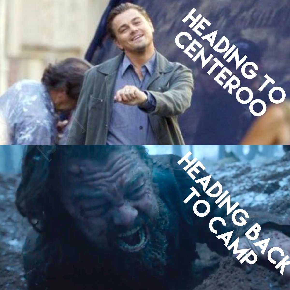 365bonnaroo's tweet image. you got this leo! #oscars #bonnaroo