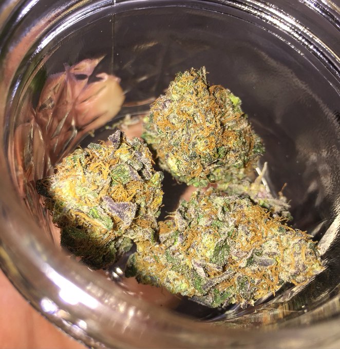 No filter... I swear 😵 #BlueSherbert https://t.co/dKyIsDYnxf<a href="/tag/bluesherbert"class="tags">#BlueSherbert</a>
