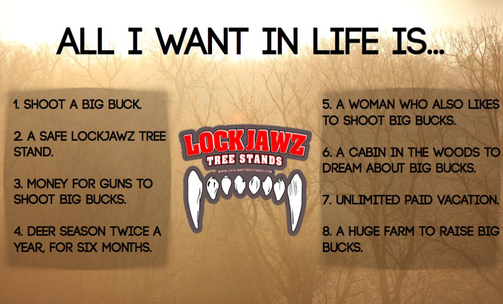 LockJawzStands's tweet photo. All I want in life is... https://t.co/mhKpFiShkL