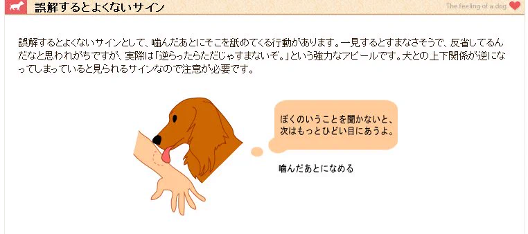 マジかｗｗ犬が人間を下に見ているときにする行動とは？！