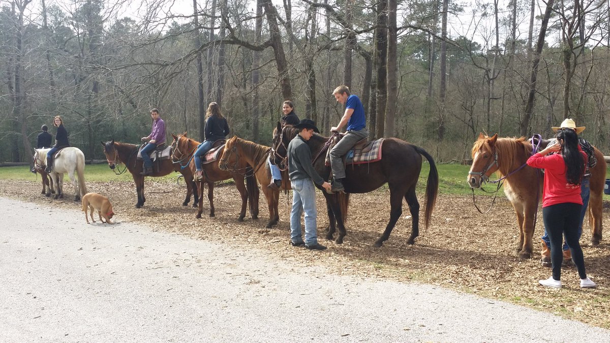 HealthyCelts's tweet photo. We had a great time at #2Estables in Huntsville State Park today. Beautiful day for a trail ride! #rectrip #iamUST https://t.co/MlHGl84ZR9