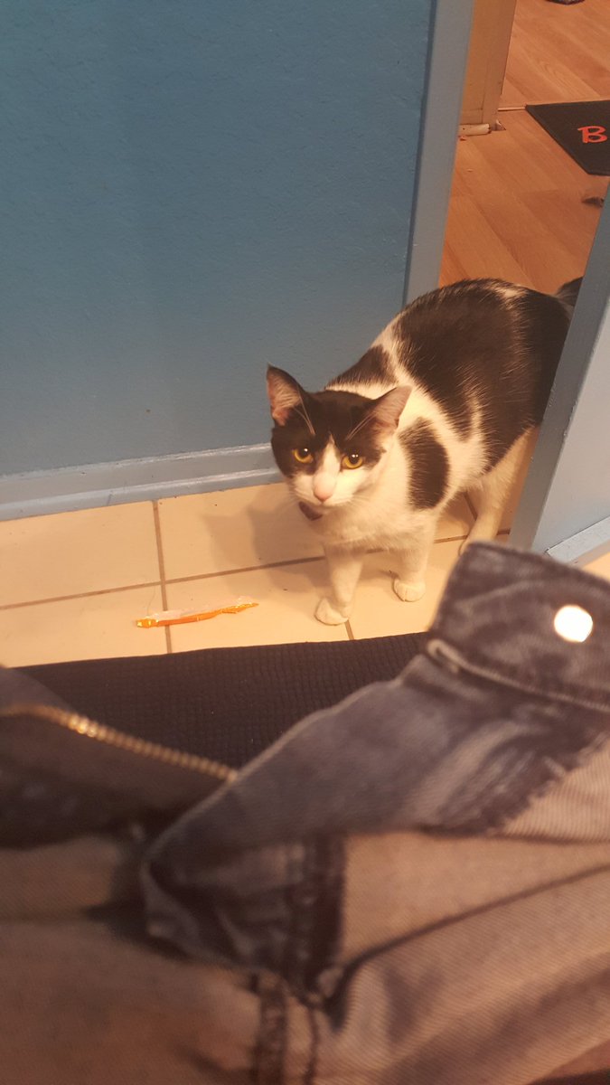 uvlove93's tweet photo. I never get time to my self  she will cry and cry until I open the door or don't shut it all the way https://t.co/nJsUZu6yns