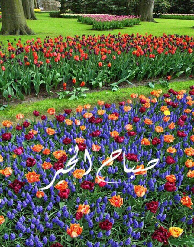 frs_1392_ff's tweet photo. #قروب_الراقي_للدعم https://t.co/8ZyWbgrx8U