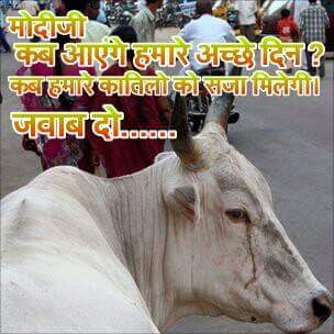 Gaumatarashtra1's tweet photo. Aakhir kab
#gaumatarashtramata
@PTI_News 
@ZeeNews https://t.co/M6Se2AT7ks