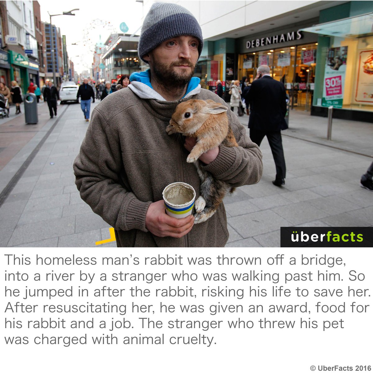 UberFacts's tweet photo. What kind of person throws a rabbit off of a bridge? https://t.co/bdy9d3iHz8