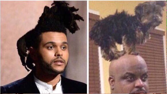 Encuentra las diferencias. 😂 #Oscars