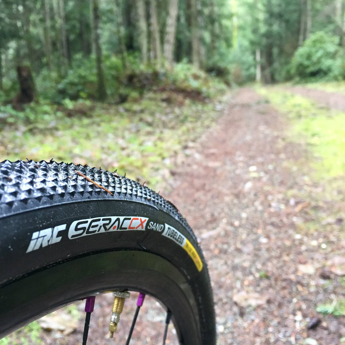 GWBicycle's tweet photo. We rode the Serac CX Sand tubeless tires from IRC again this weekend - they eat up logging roads no problem! https://t.co/f7QPpTEcWq
