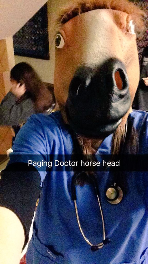 815stumbleinn's tweet photo. Bear dressed as a horse is pretty terrifying #yeathine #neighthine https://t.co/KrZh2IBC09