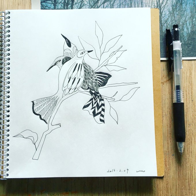 うるう rainy☔︎ umao 2016.2.29
#illustration  #rain #pen #イラスト#bird 