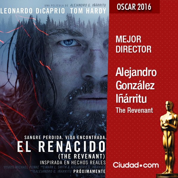 ciudad_magazine's tweet photo. #Oscars MEJOR DIRECTOR Ganador

Alejandro González Iñárritu (Revenant: El renacido) https://t.co/d7Om98JWQS