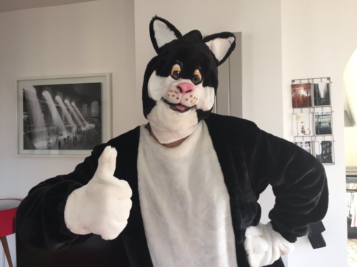 upperfloorgame's tweet photo. Ce chat veut vous parler ! La vidéo :
https://t.co/ZRb1ULafiV … 
@gameActus #upperfloorgame https://t.co/BGDOd6lIrv