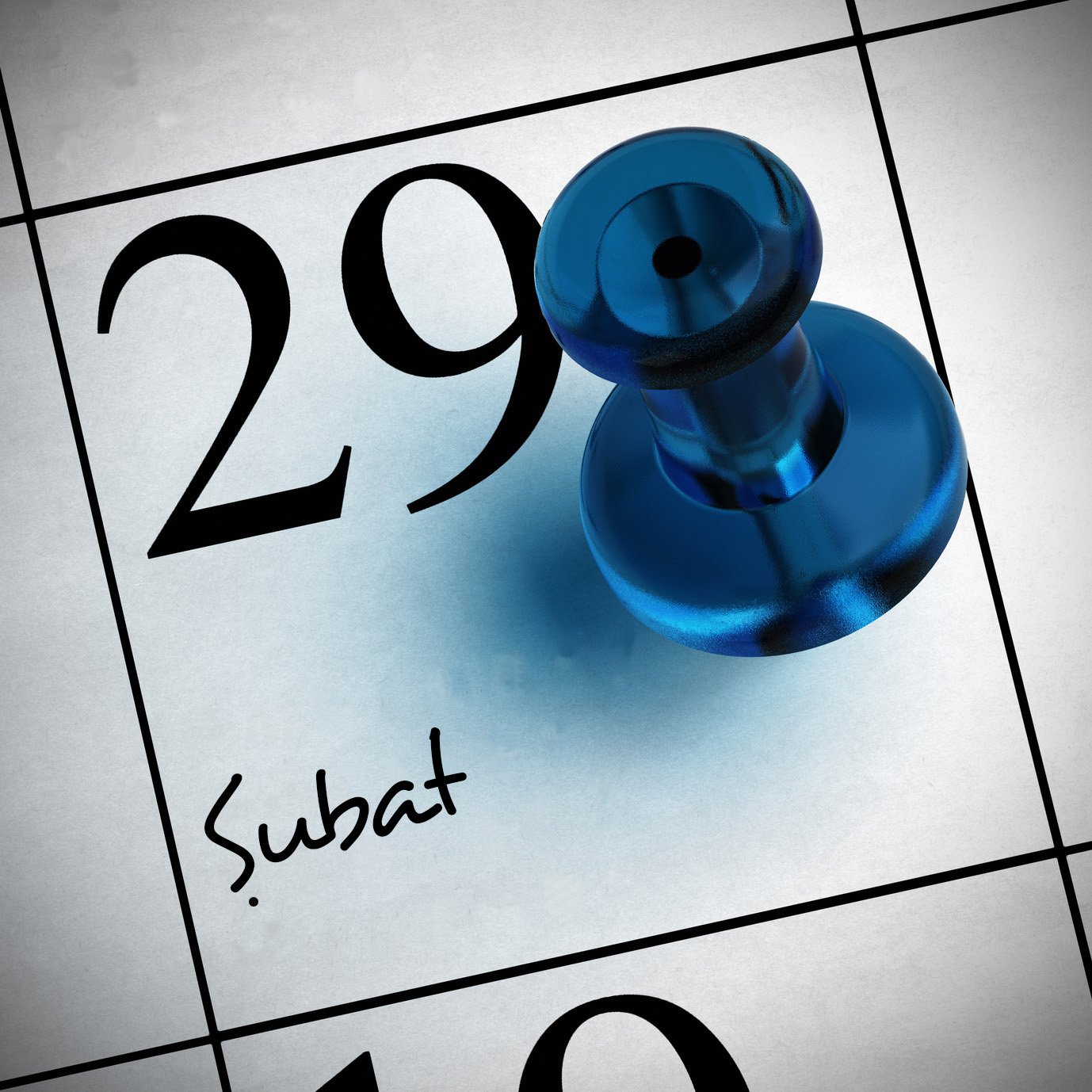 29 Февраля