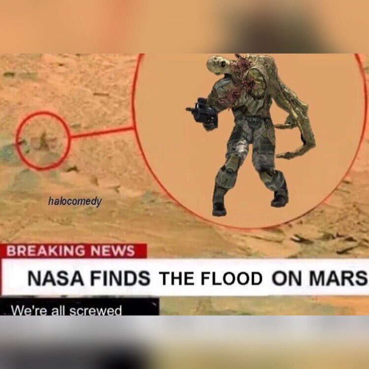 Spartan_Ark's tweet image. 