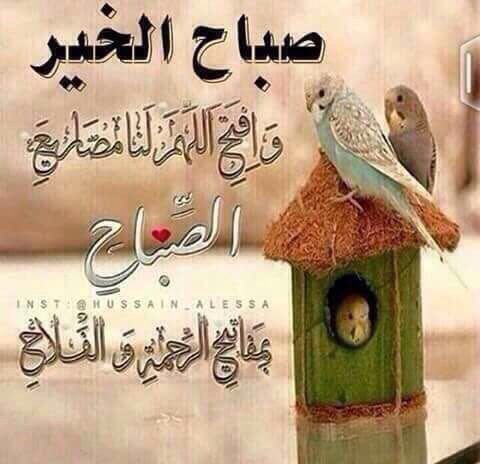 صباح المغيب عن الأنظار