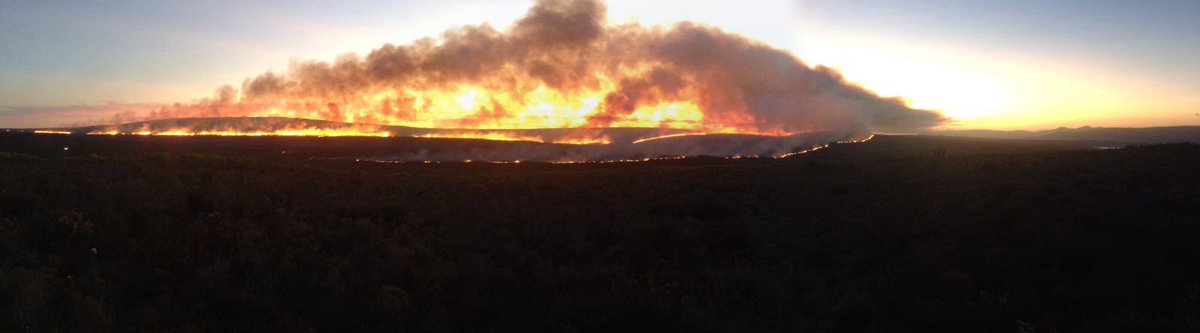 OverbergFPA tweet picture