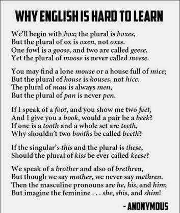 Dis_die_prinses's tweet photo. Wat taal moet oordra... Engels doen duidelik nie 'n goeie werk nie. #kcom112 https://t.co/OFdknXBgYX