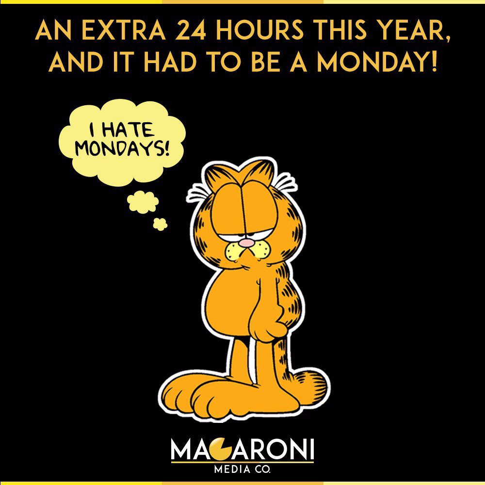 Macaroni Media tweet media